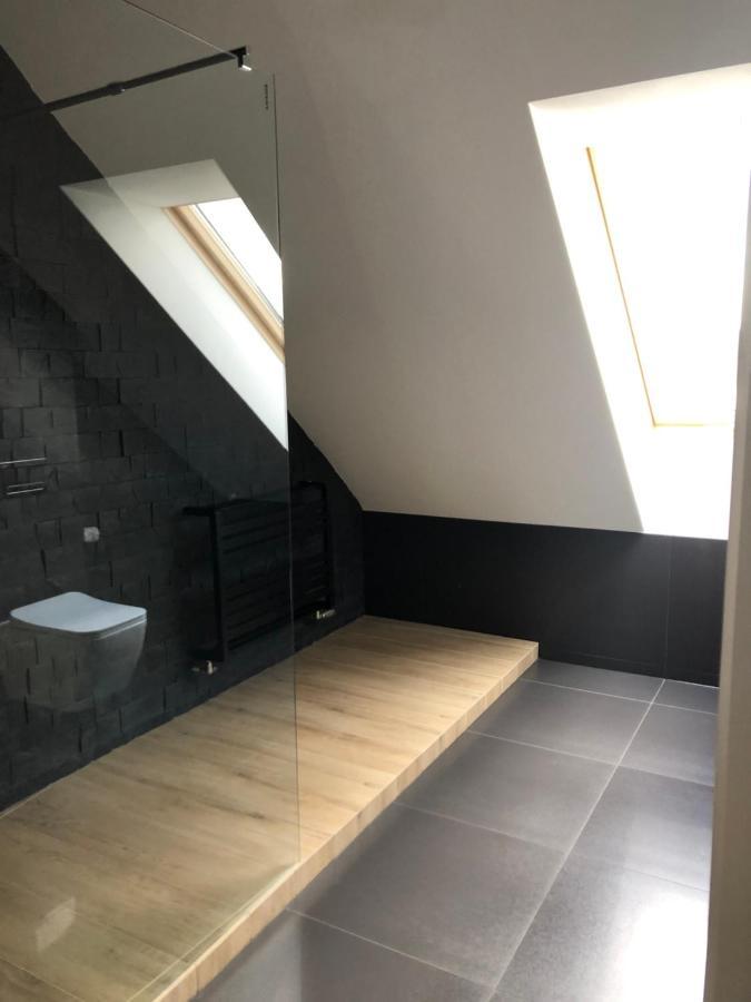 Apartament Aleksandra We Wielu Z Widokiem Na Jezioro 维勒 外观 照片