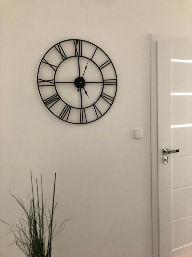 Apartament Aleksandra We Wielu Z Widokiem Na Jezioro 维勒 外观 照片